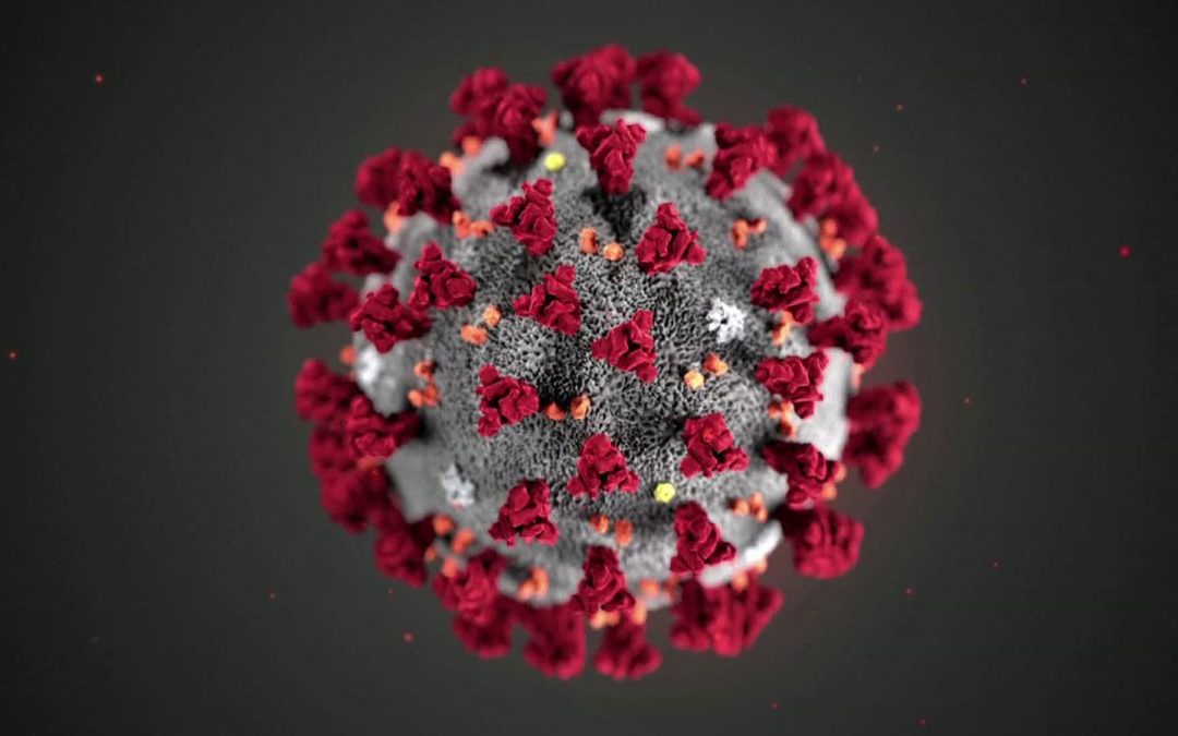 Coronavirus Pandemic (COVID-19) – An In-depth Assessment