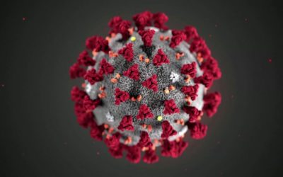 Pandemia koronawirusa – rzetelny artykuł