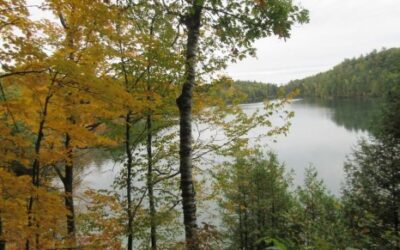 Canadian Thanksgiving Greetings – A.D. 2026
