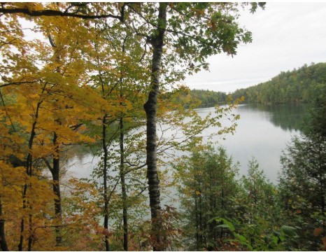 Canadian Thanksgiving Greetings – A.D. 2026